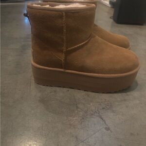 Brand new platform Uggs